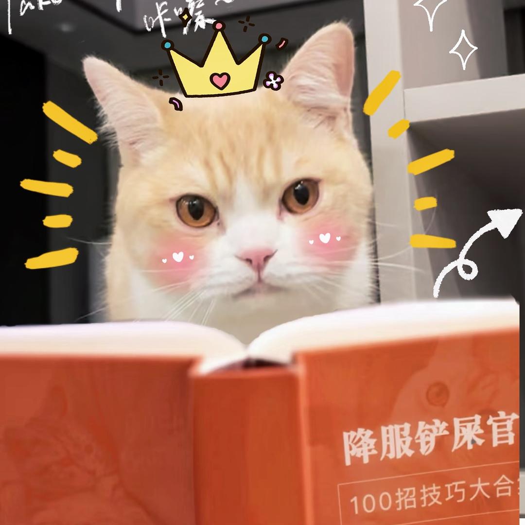 小咪的羊毛毡