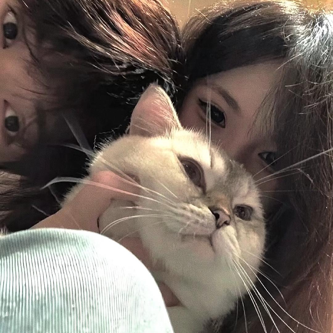 酸奶