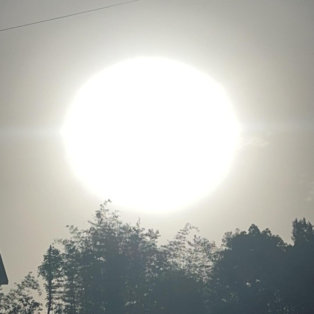 功夫皇帝赵文卓