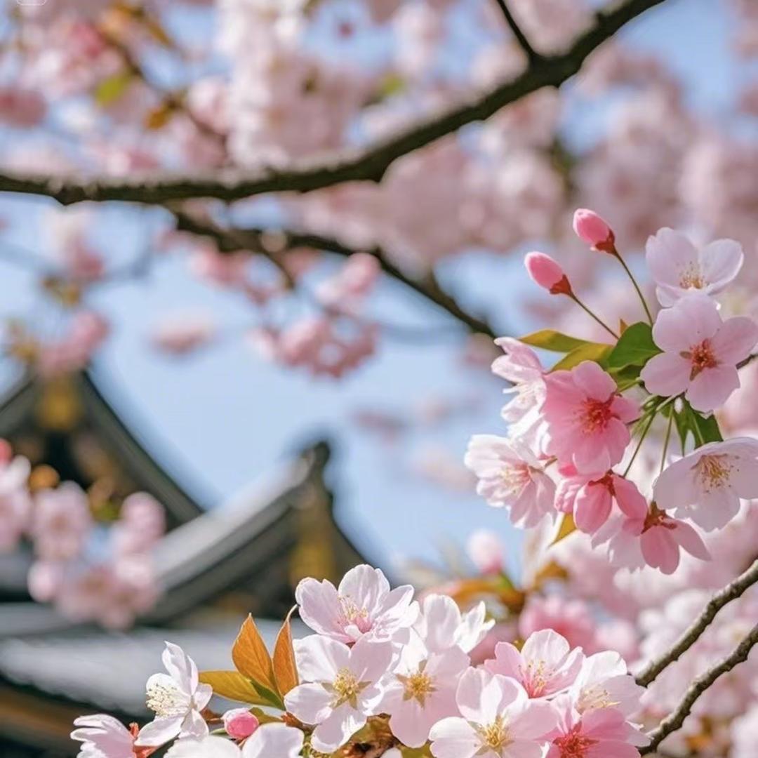 泡泡🎀