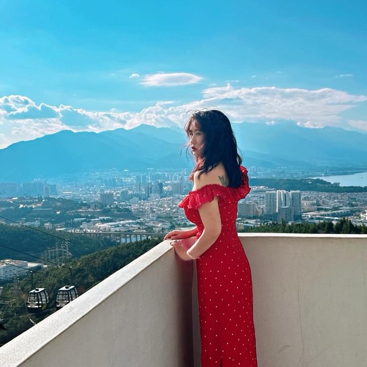 杨💃