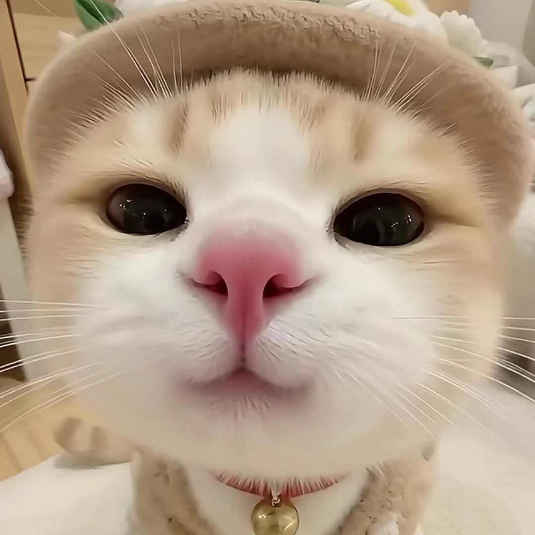 @～@
