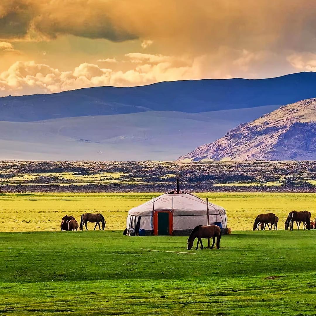 内蒙古鲜肉牛肉干源头厂家
