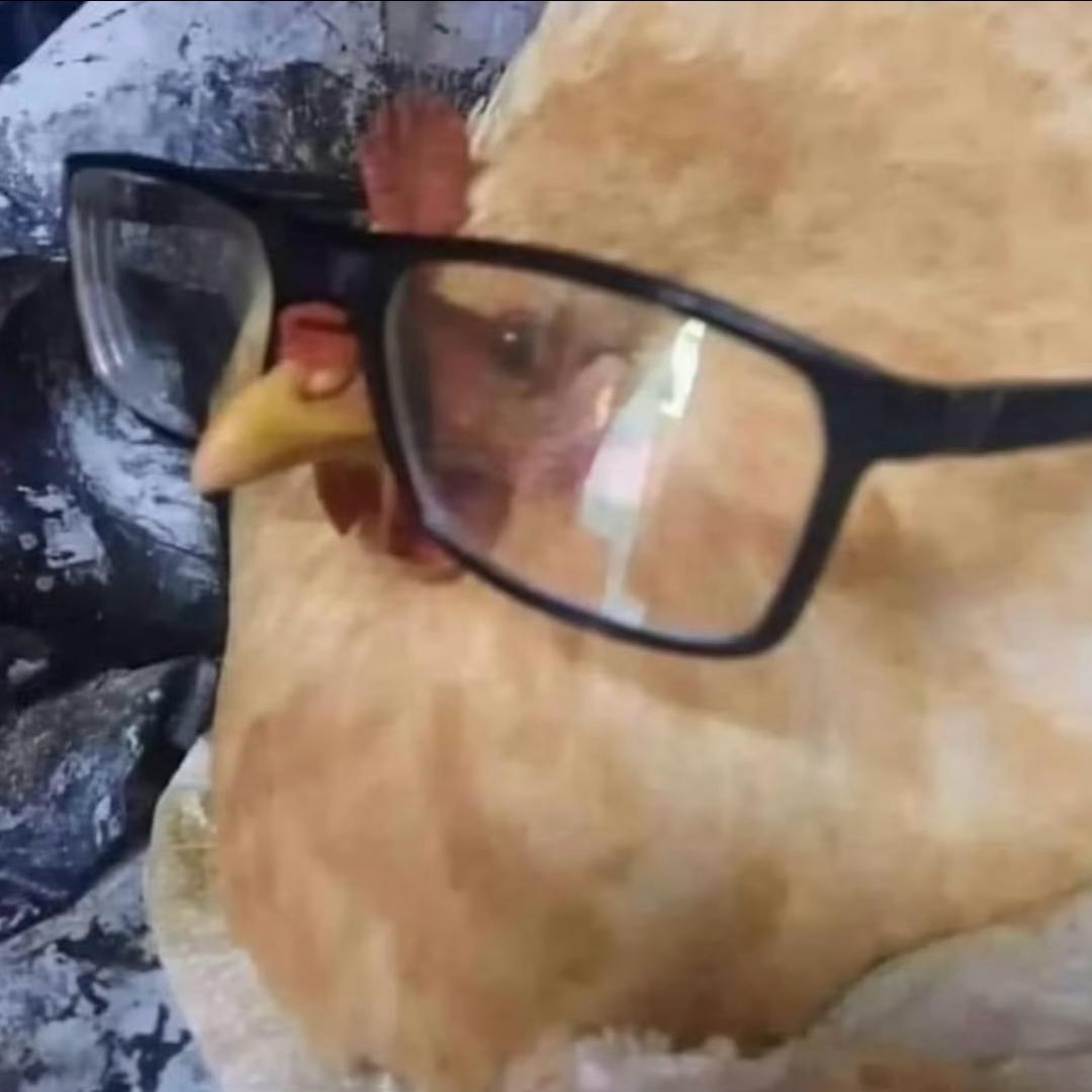 反正一只蛙