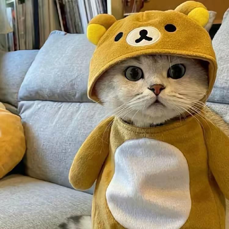 真好