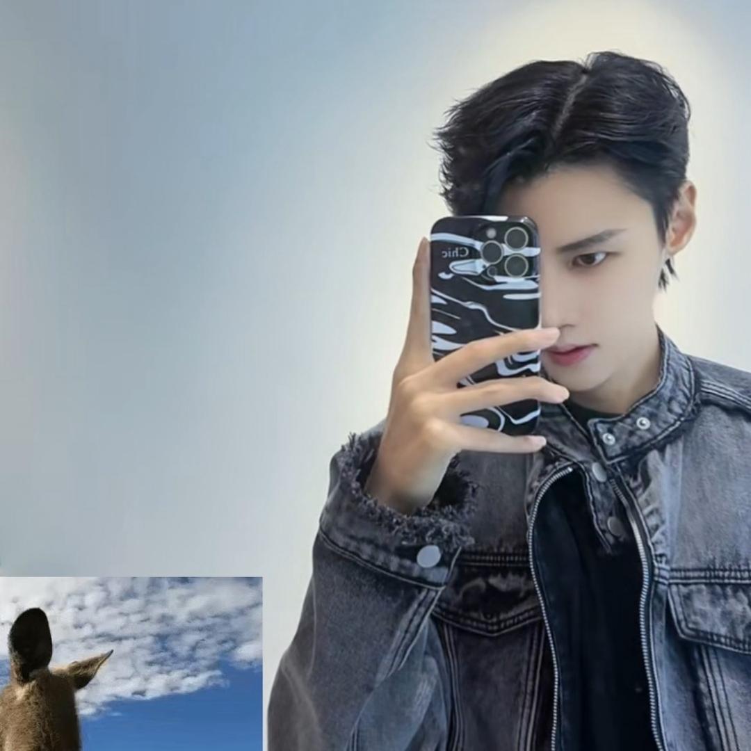 迷一样的男孩