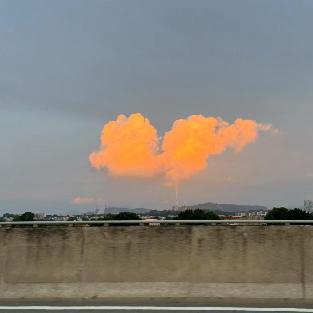 雯雯雯朵拉