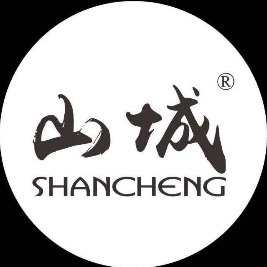 重庆山城电揽