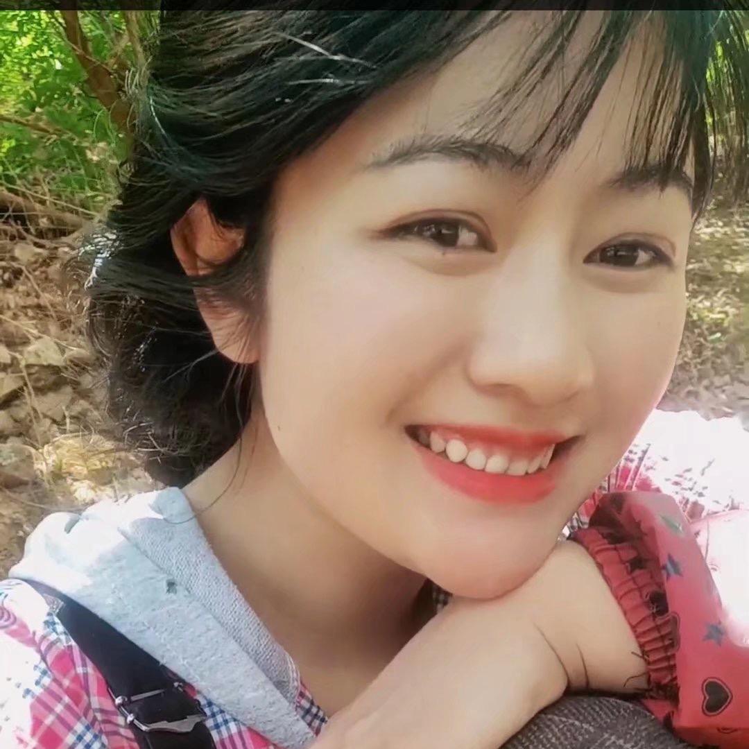 乡村小猪