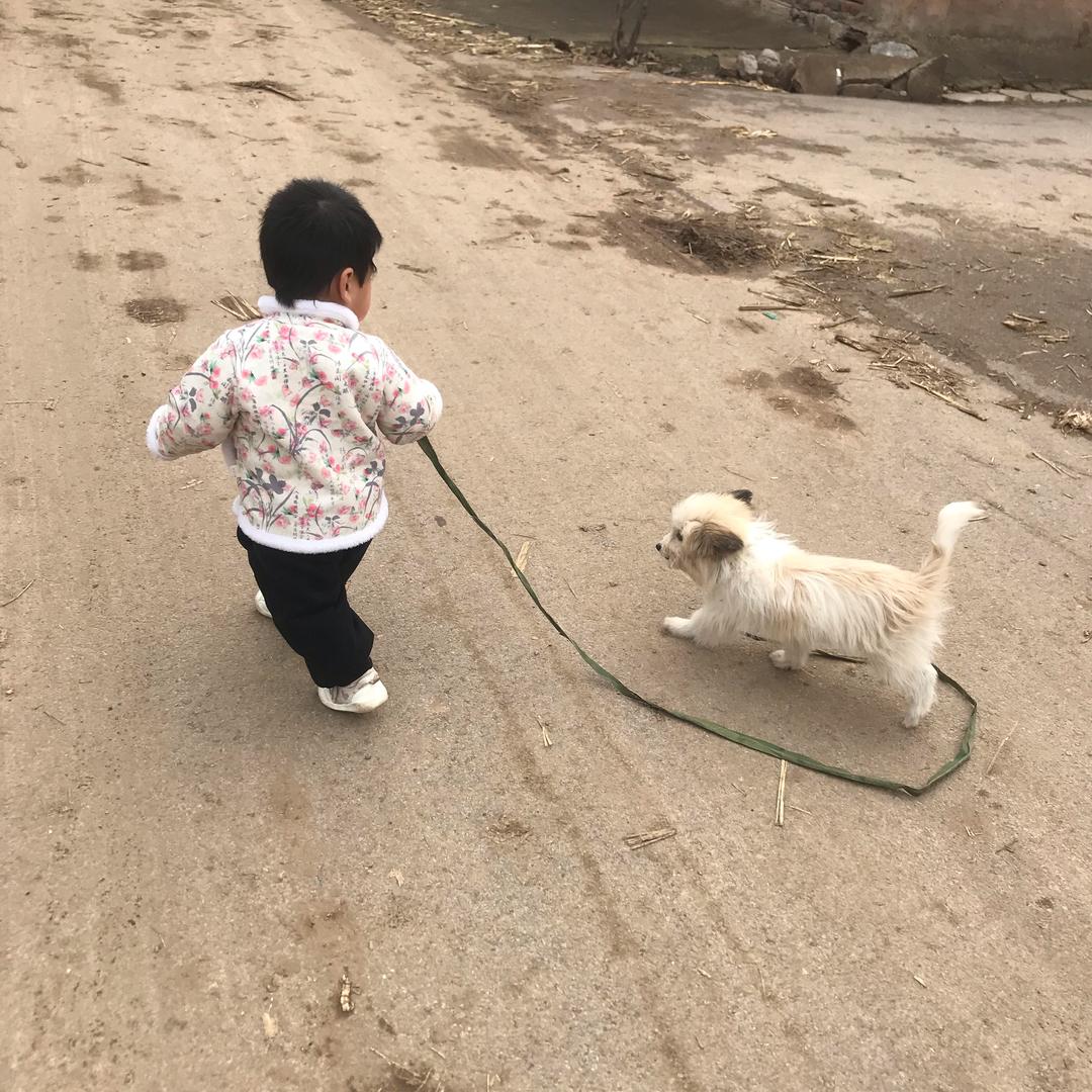 @大豪二豪一朵的妈咪