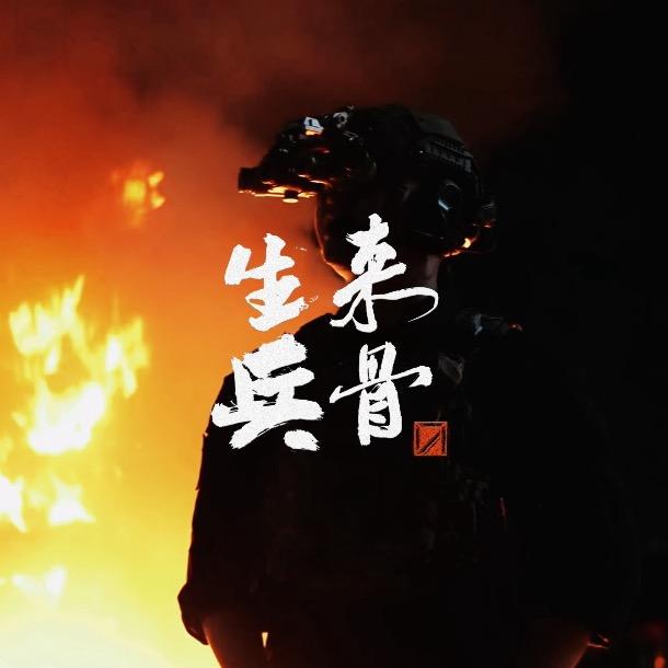 生来兵骨