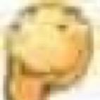 劉_