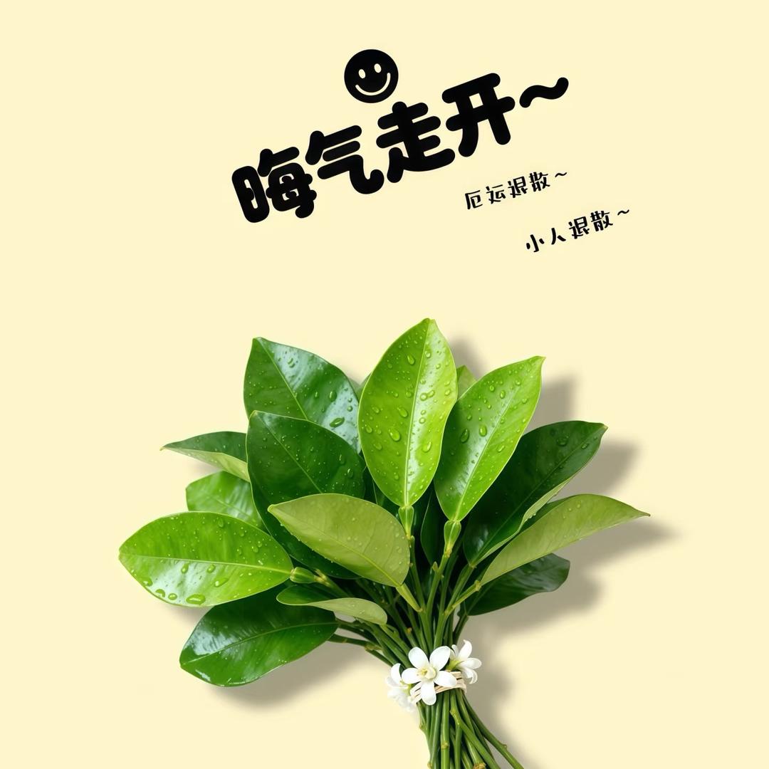 我是小绘吖（己瘦45）