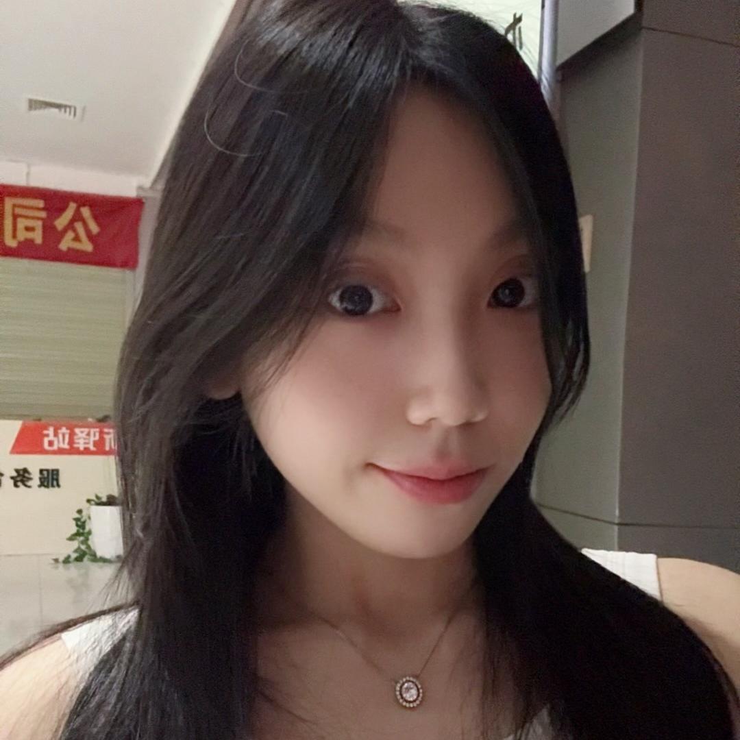 晨晨新能源面包车