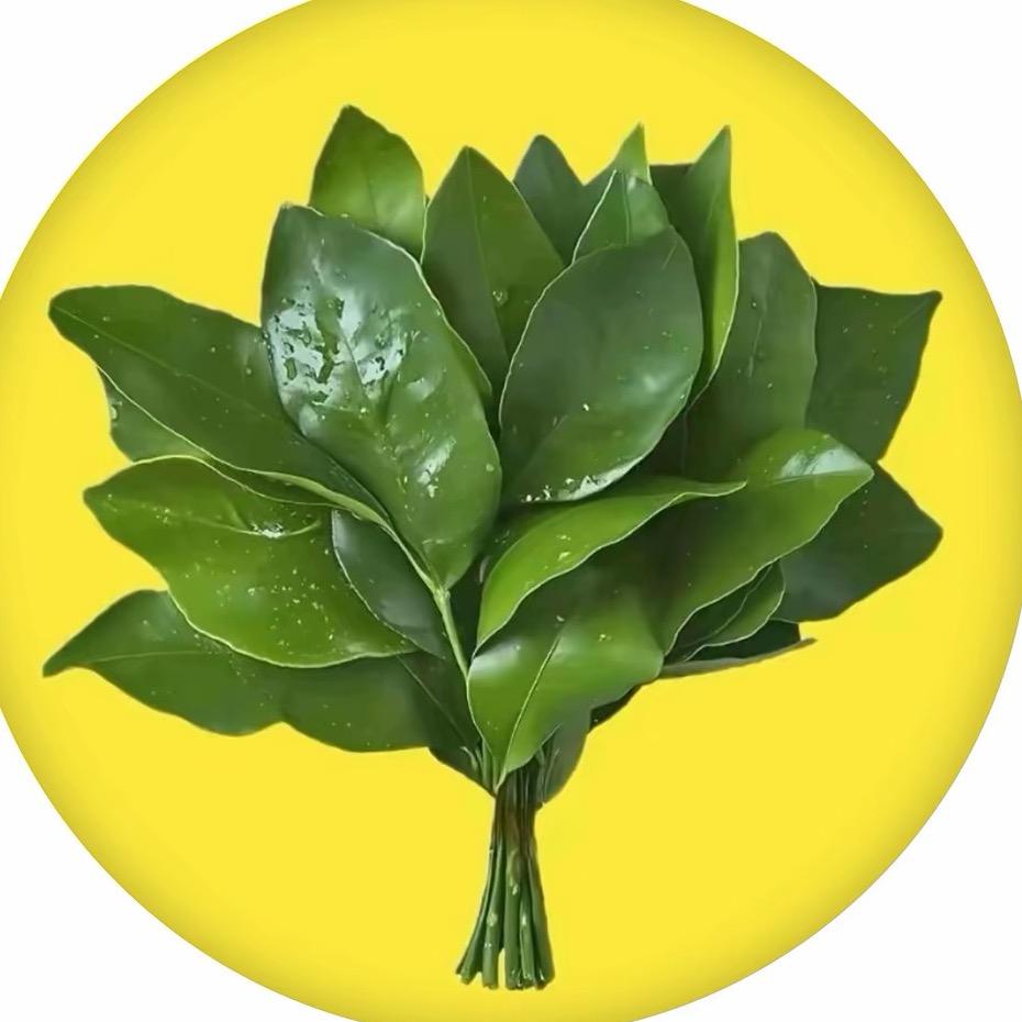 宁子🍋