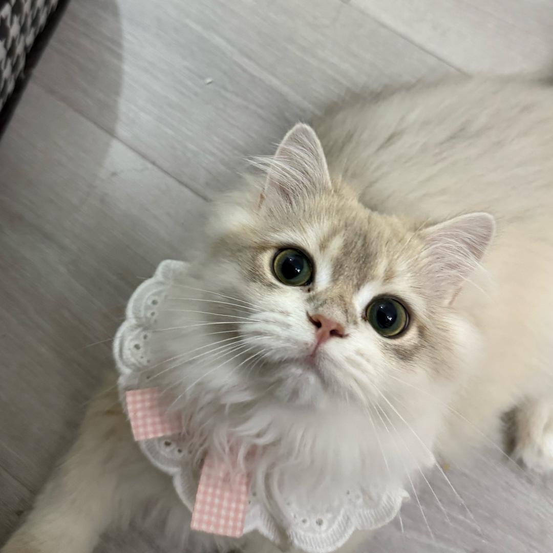 饿了就吃