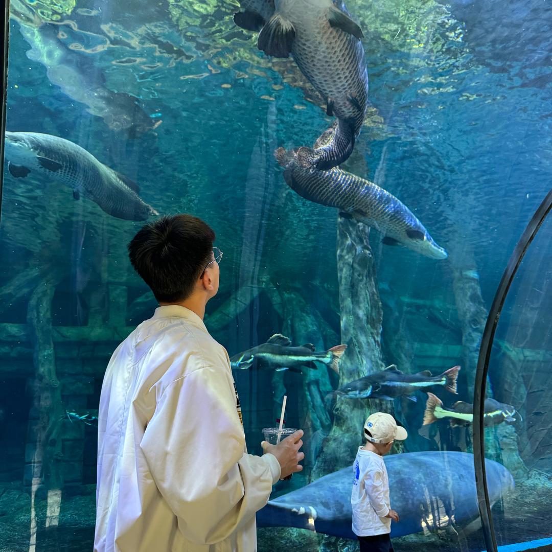 杭州小橙