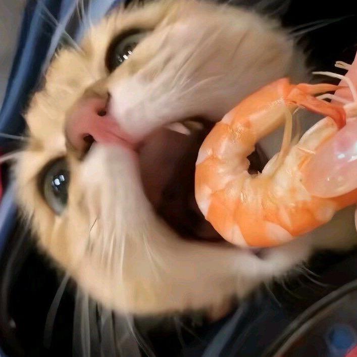 小橙.