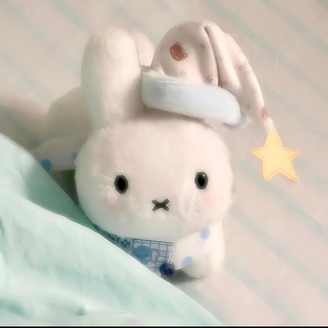 小七祈愿