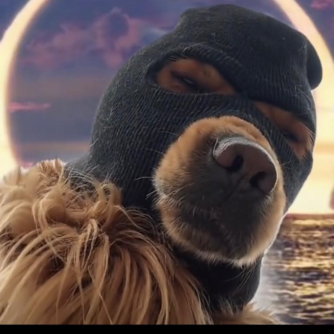 去有风的地方丿