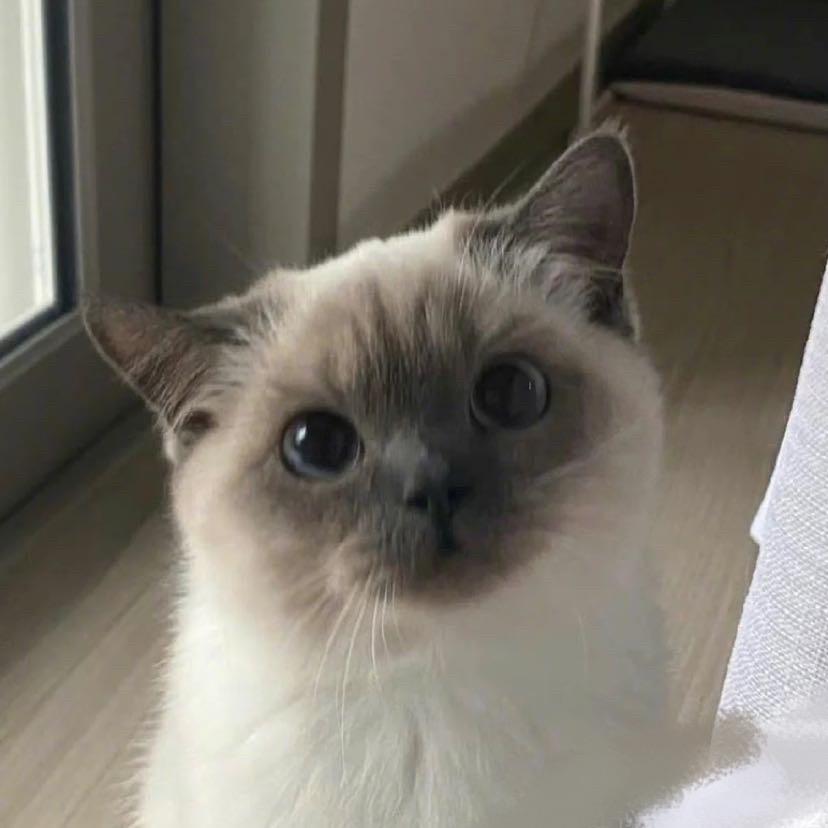 张智敏