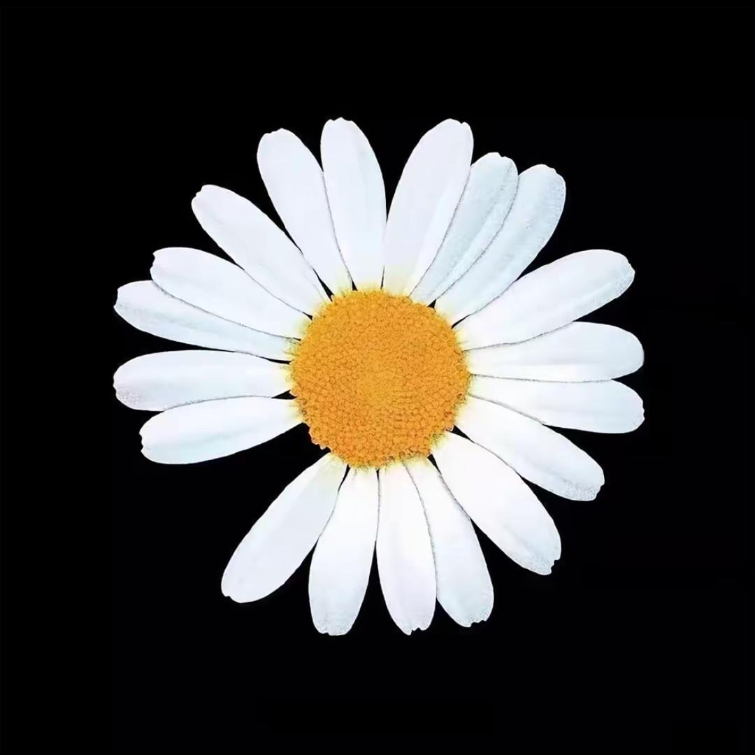 아얼쯔채