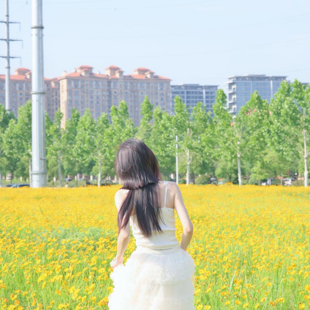 王沐沐