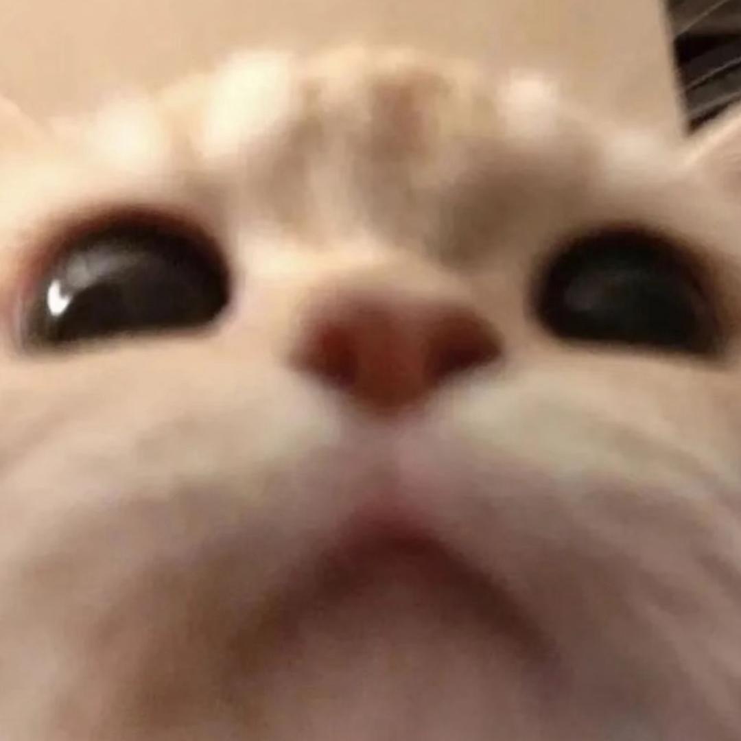 詹妮弗