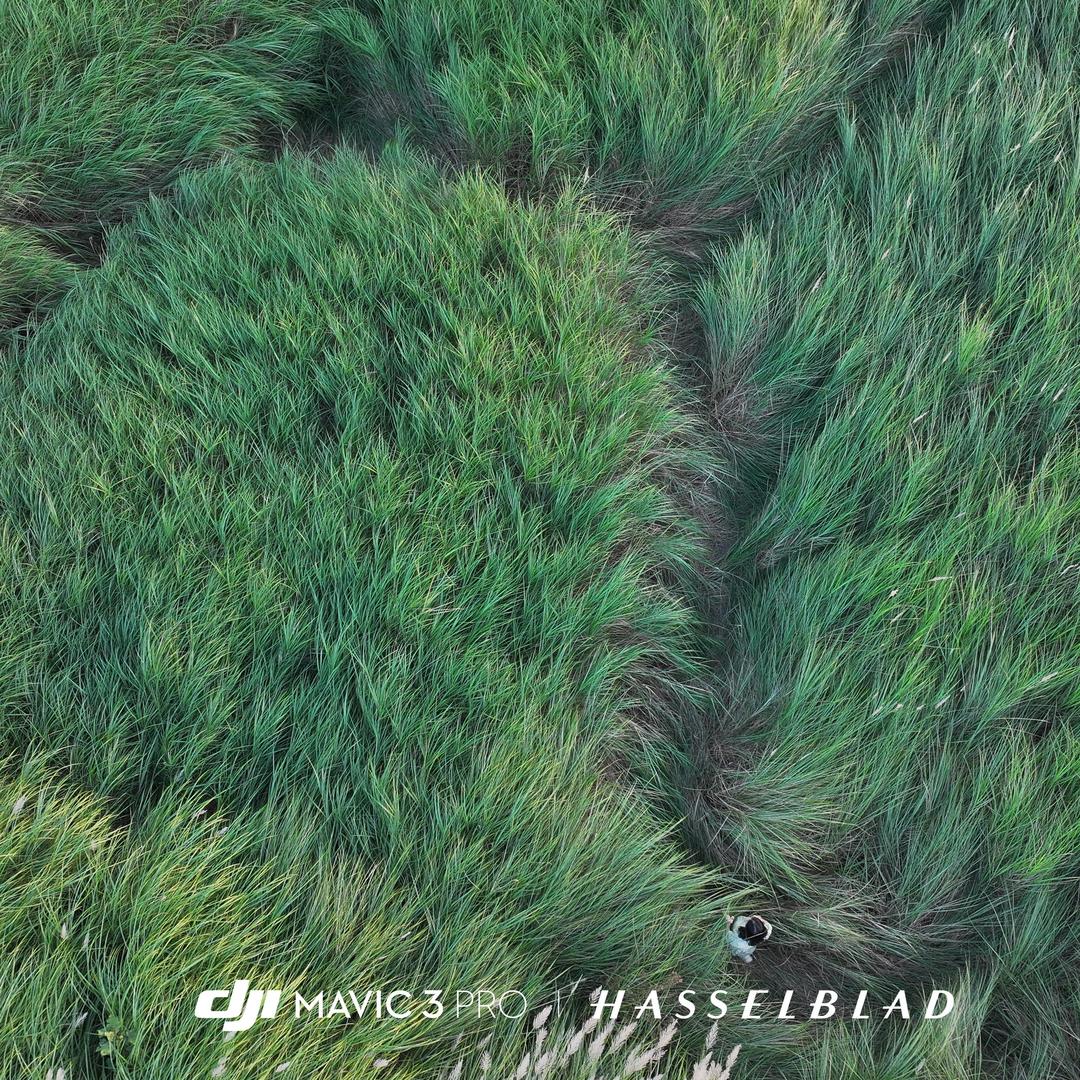 灿烂如星陈小姐