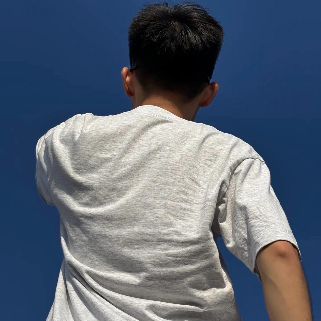 白鲨不吃鱼