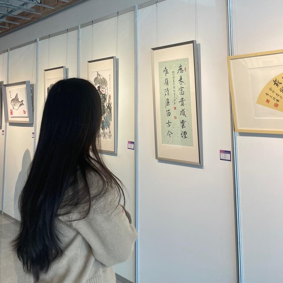 @绵羊🐑