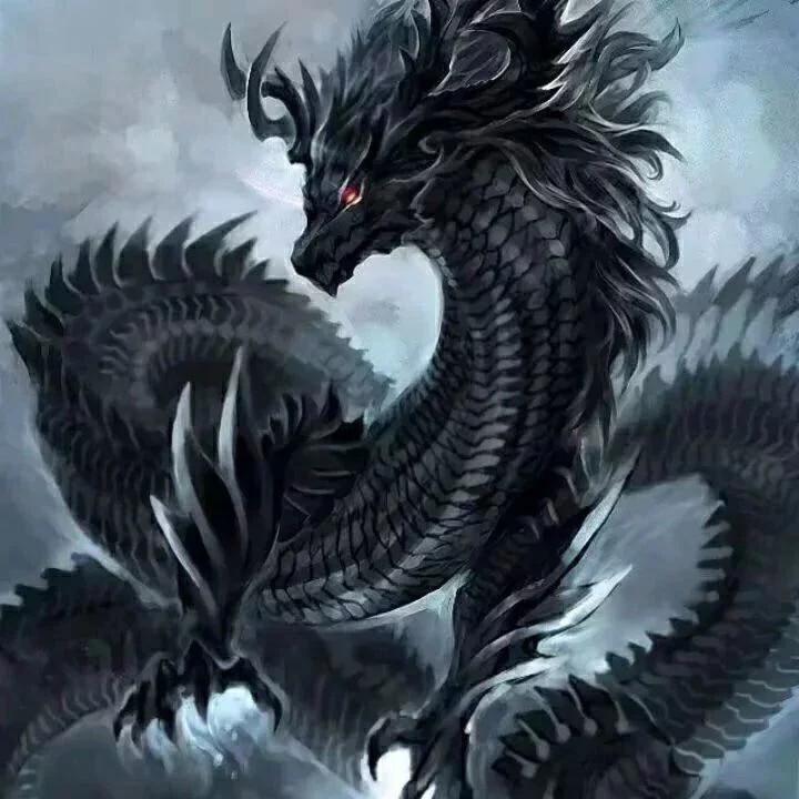 🌈宗和世物调查管理教化办公室🌈