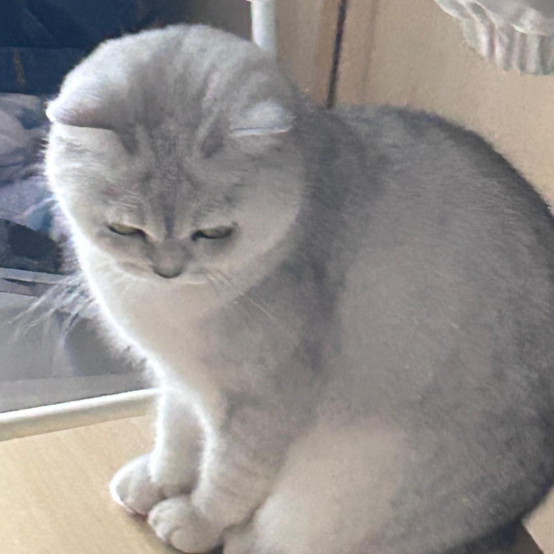 饭桶