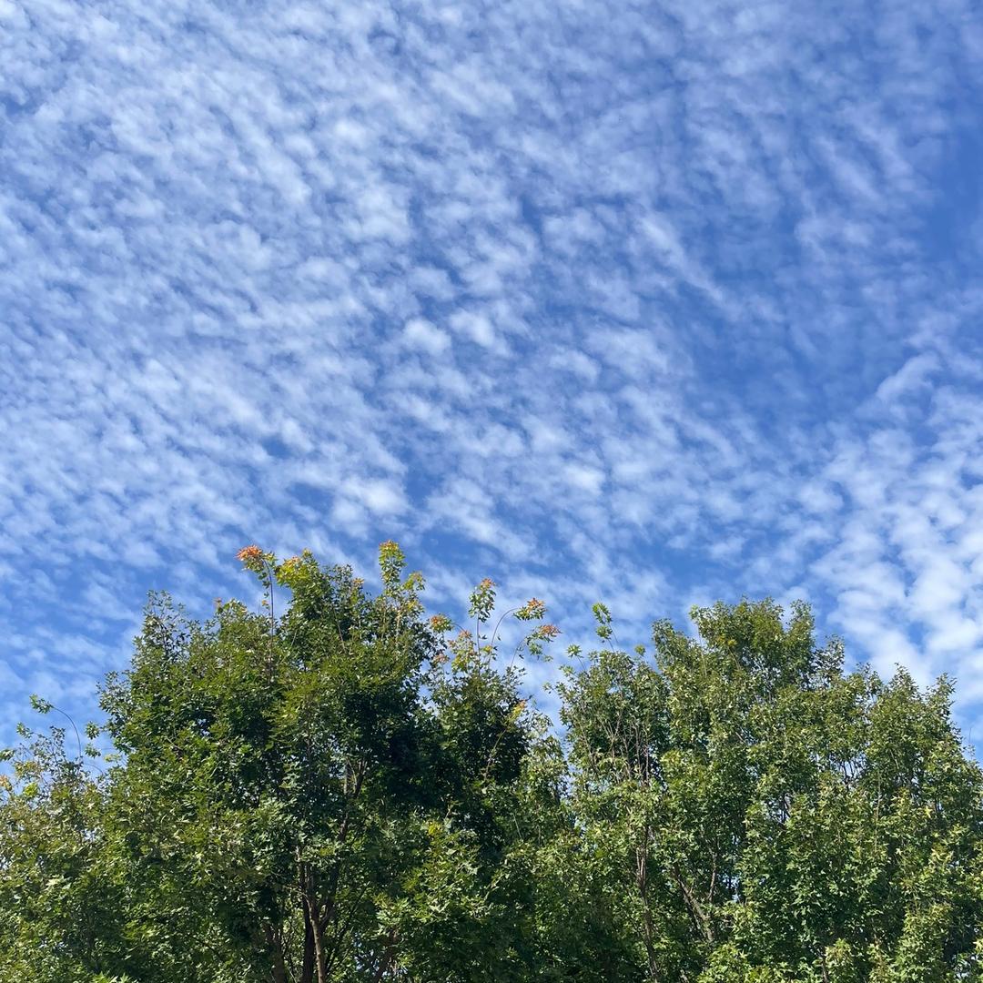 邹平静姐说房