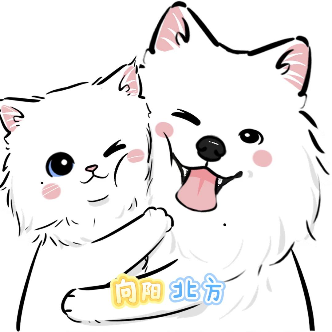 向阳 北方