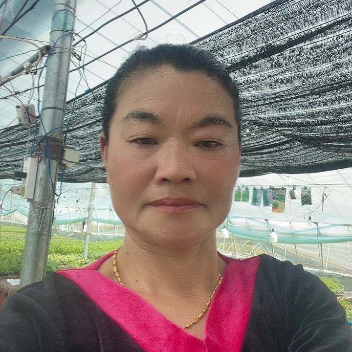 砀山朱楼瓜菜育苗