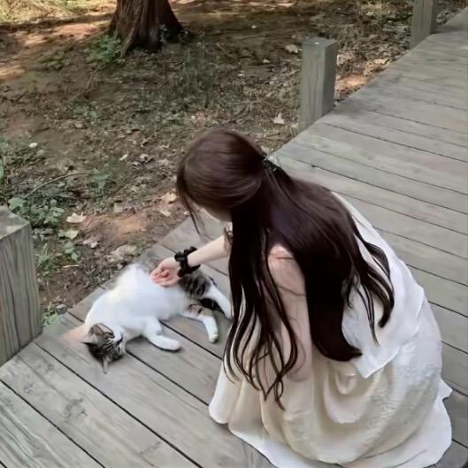猫儿妹妹