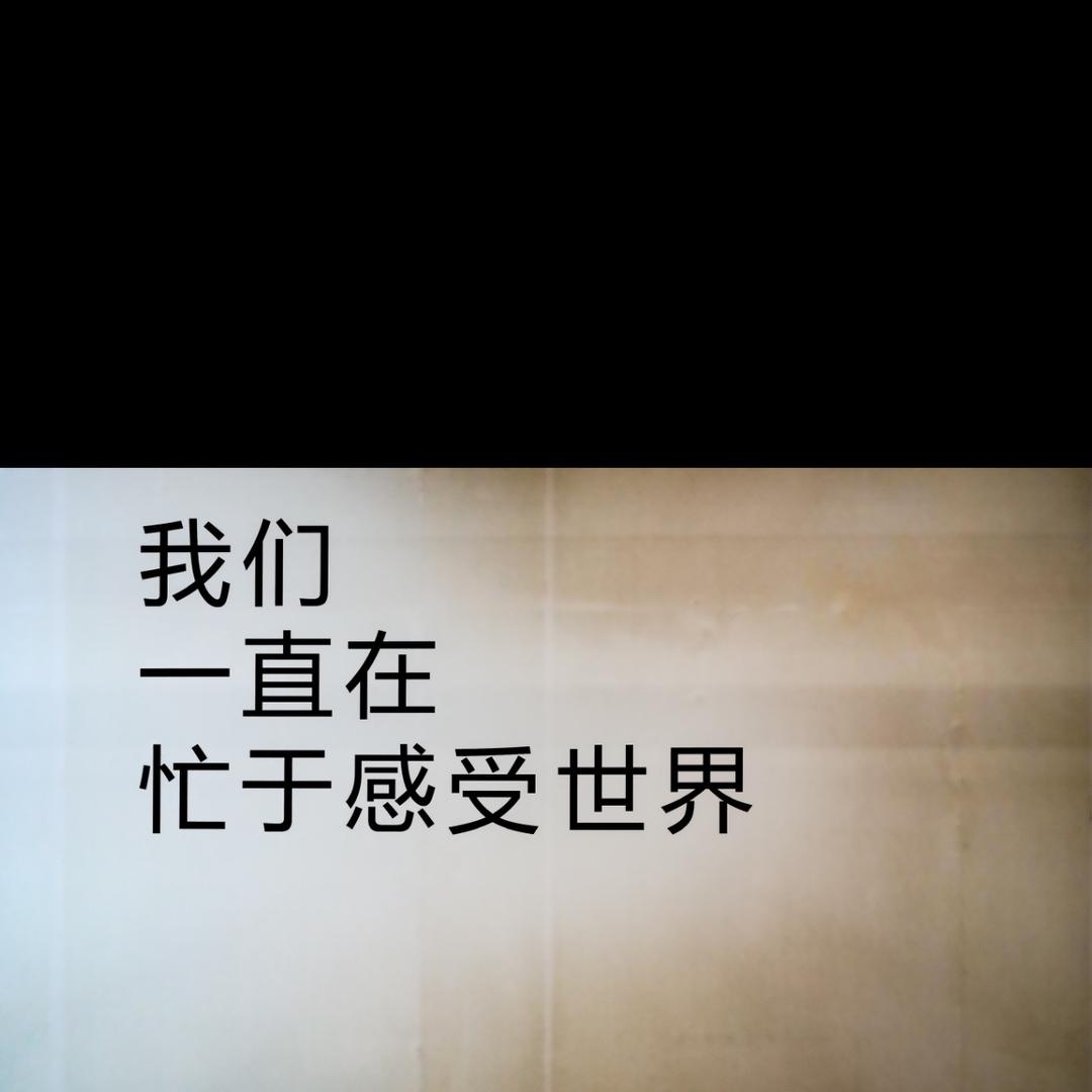 梦里拍流星🌠