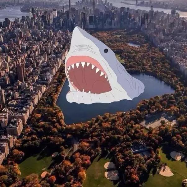 鱼和熊掌我都会有