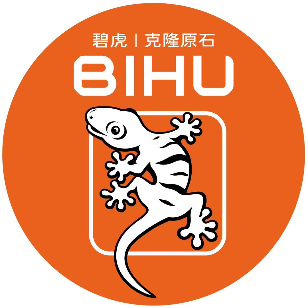 BIHU碧虎克隆原石