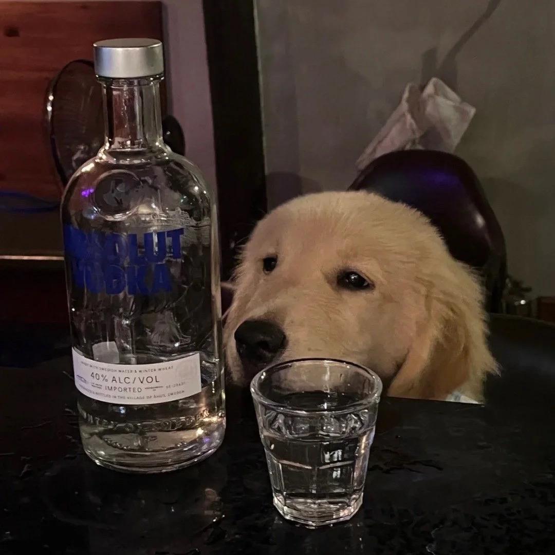 马喆