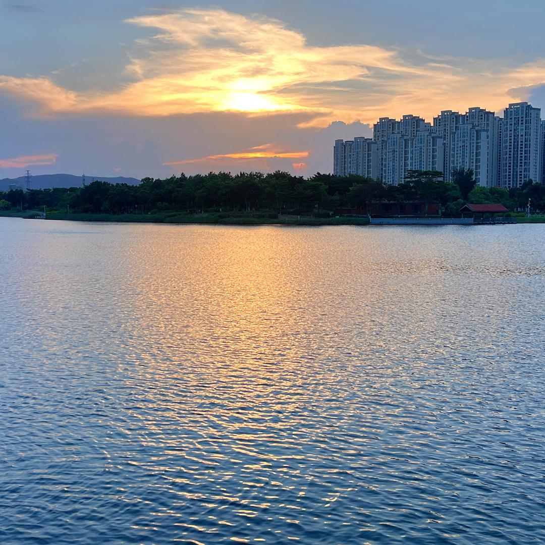 一颗小土豆