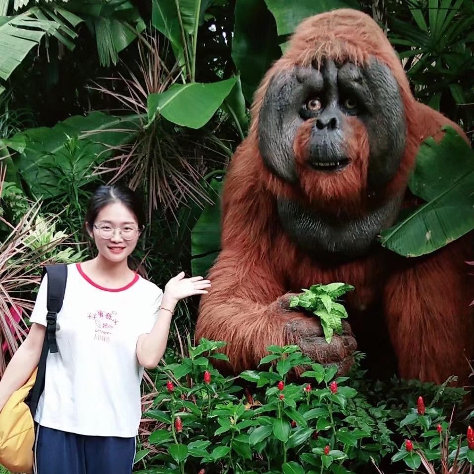 🌈一只猴子🐒