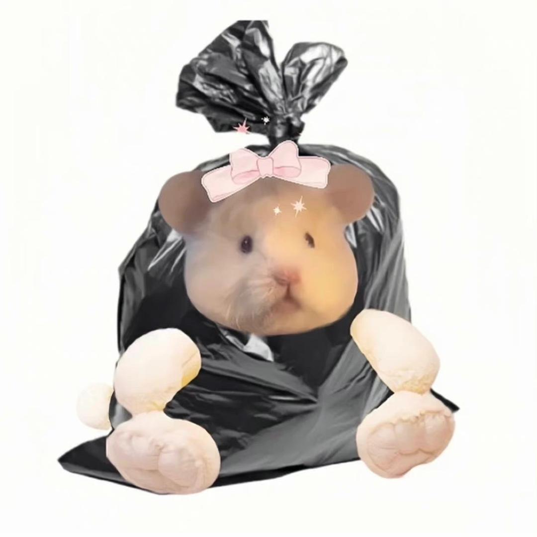 慧