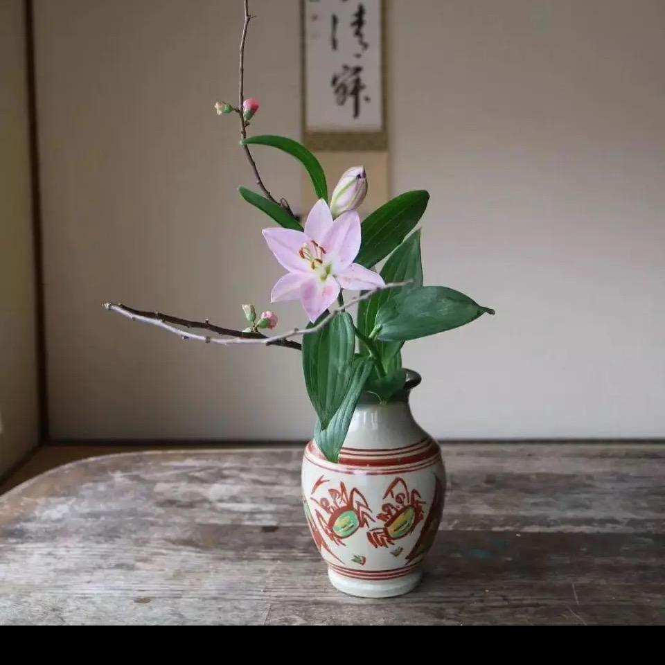 老王头爱藏