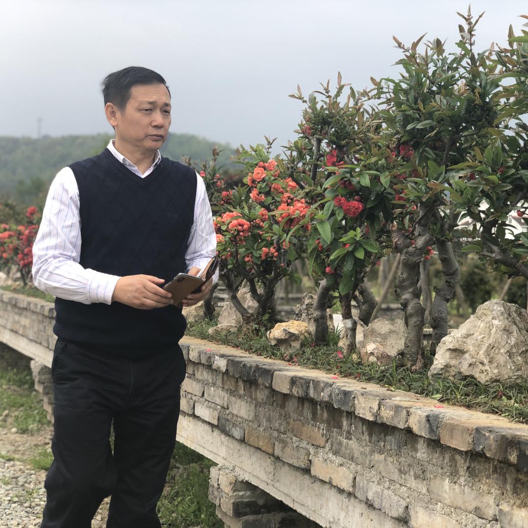 老村长问花之家生活号
