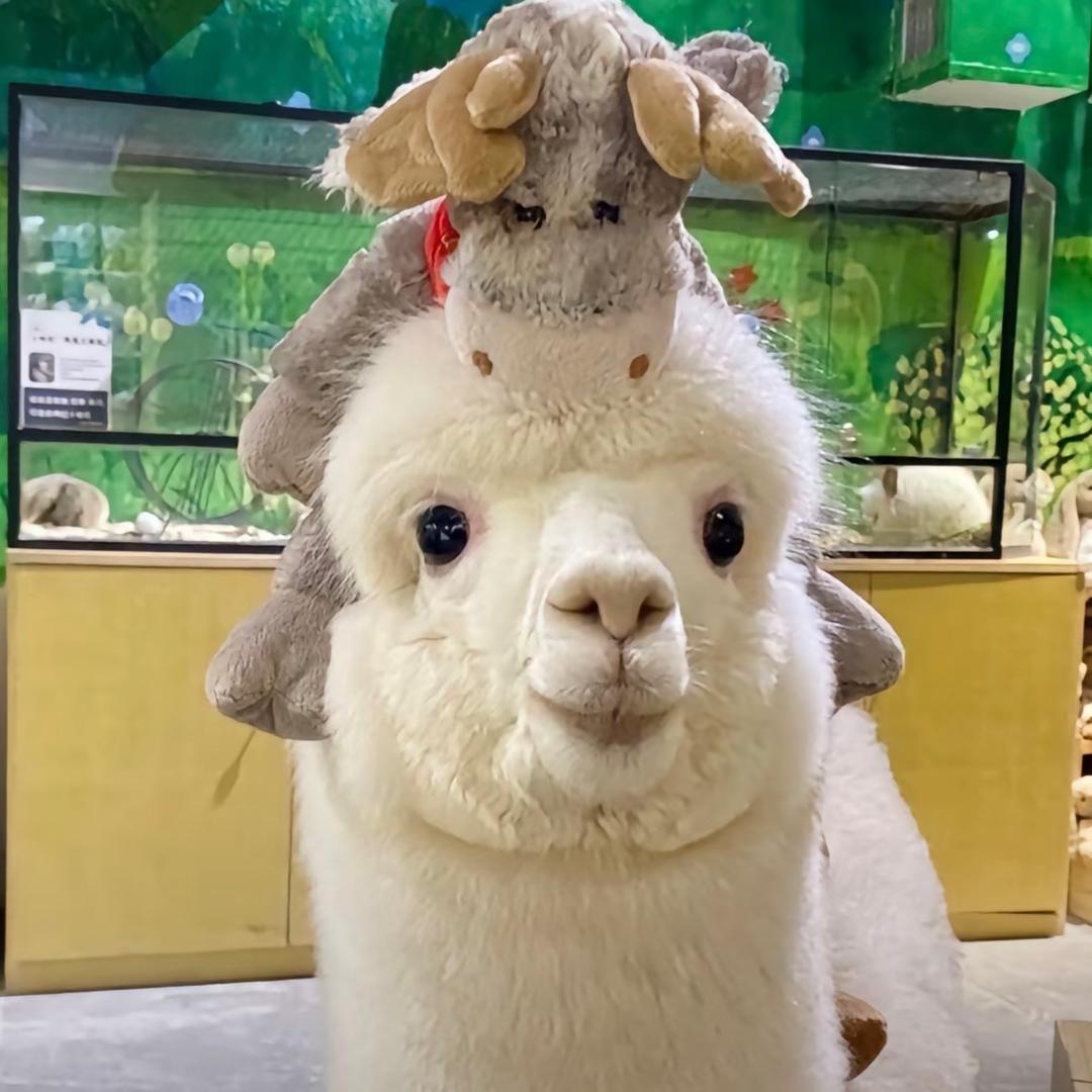 讨厌下雨天🌧️.