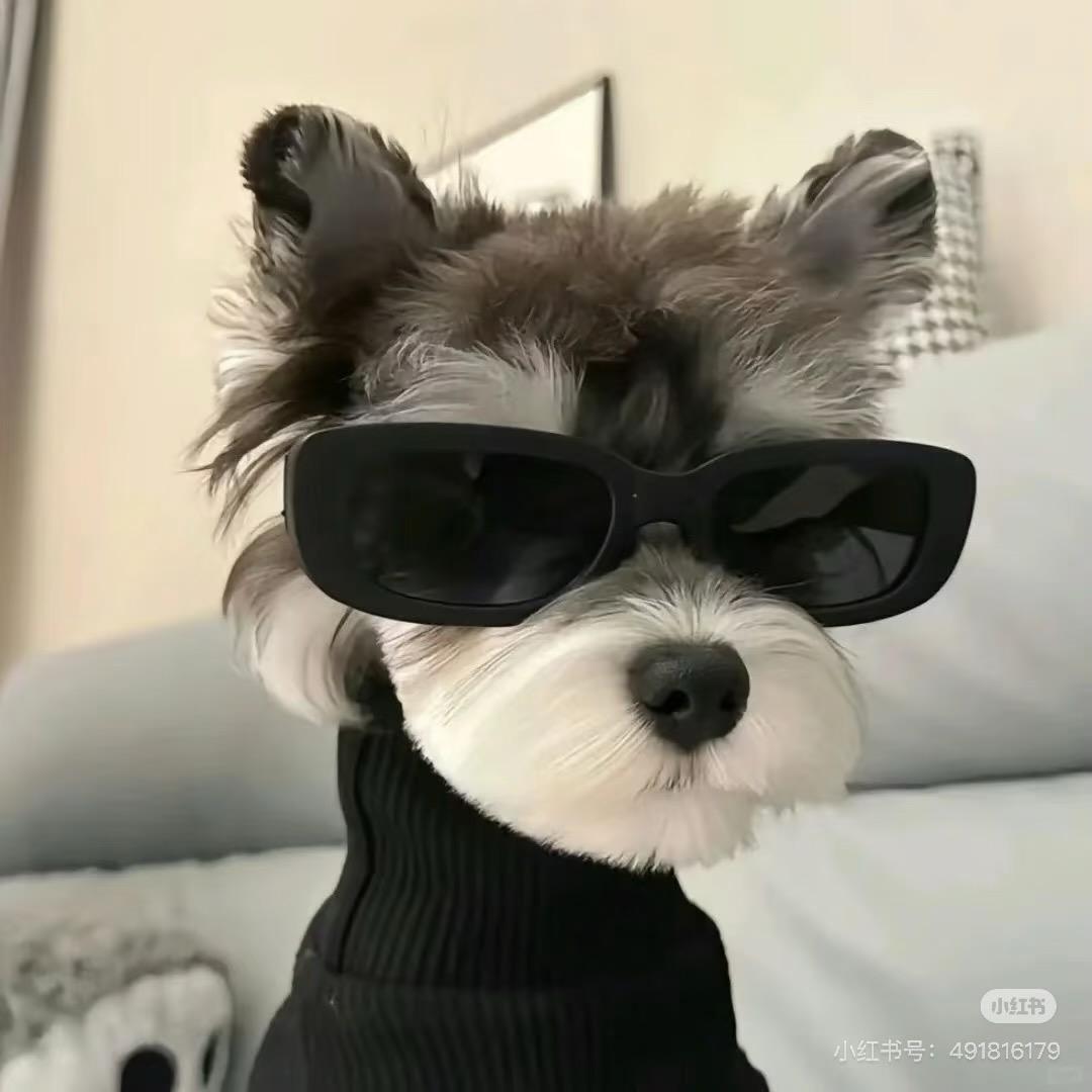 FelixLHH