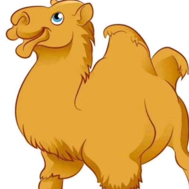 牧驼人Nurali🐫