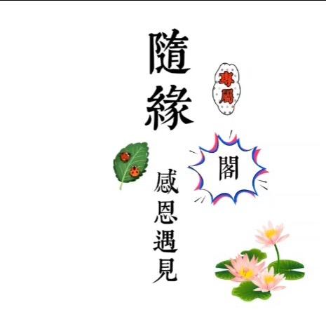 是小慧吖 吖
